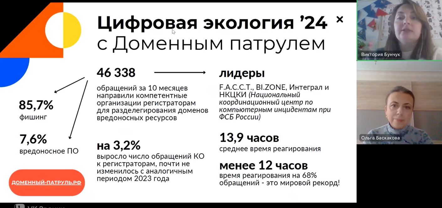 «Доменный патруль»: инструкция по применению